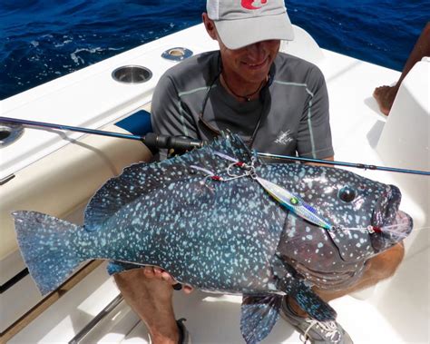 seychelles fishing trips|Ultimate Game Fishing in Seychelles .